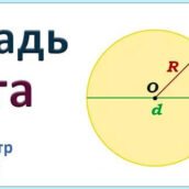 Площадь круга через диаметр или через радиус онлайн