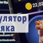 Калькулятор хомяка Hamster Kombat - крипто игра